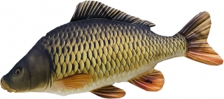 POLŠTÁŘE