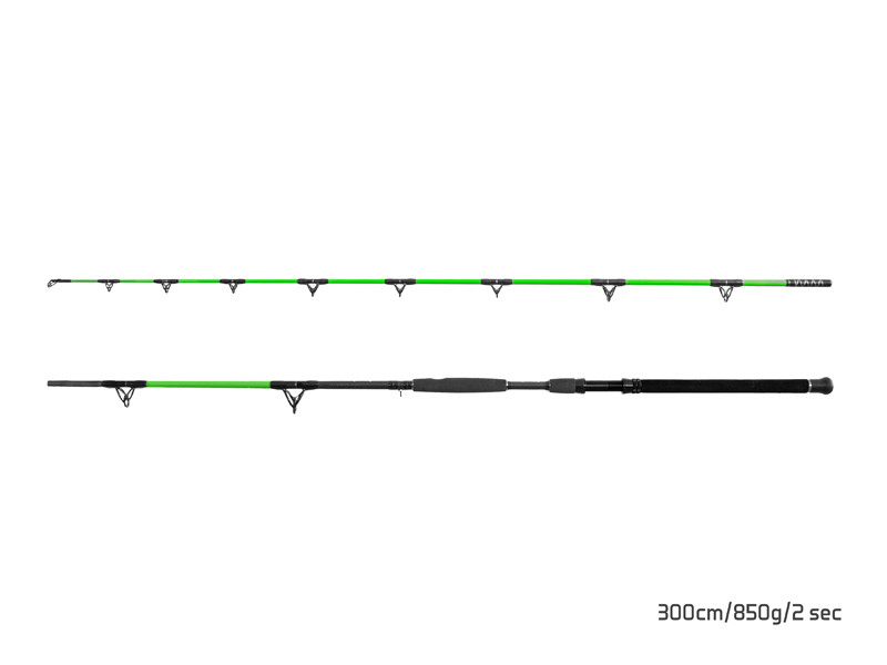 DELPHIN Prut WALKYRA 300 cm / 850 g / 2 díly