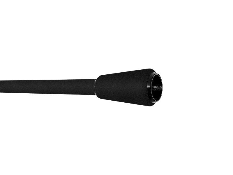 DELPHIN Prut Etna Legend4ry 360cm 3,25lb 2-díl
