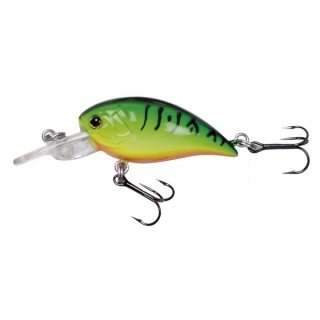 ROBINSON Wobler BUSTER F40 FT