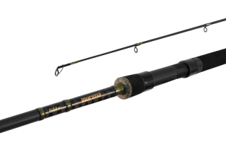 DELPHIN Prut MURENA 300 cm / 100 g / 2 díly