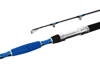 DELPHIN Prut HAZARD 255 cm / 500 g / 2 díly