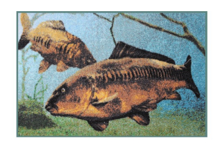 DELPHIN Rohožka KAPR 3D