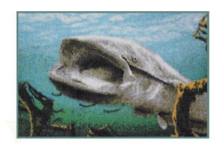 DELPHIN Rohožka SUMEC 3D