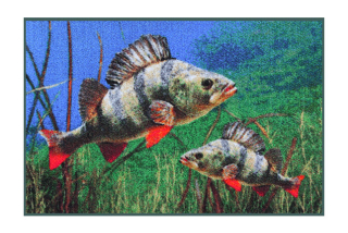 DELPHIN Rohožka OKOUN 3D