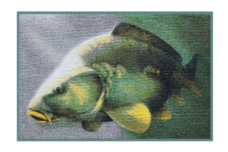 DELPHIN Rohožka KAPR 3D
