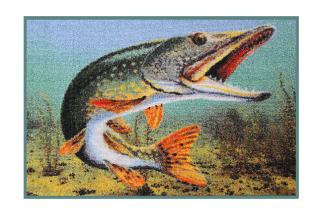 DELPHIN Rohožka ŠTIKA 3D