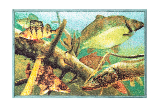 DELPHIN Rohožka AQUA