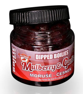 SPORTCARP Boilies v dipu Dipped Boilies Mulberry Garlic 18 mm